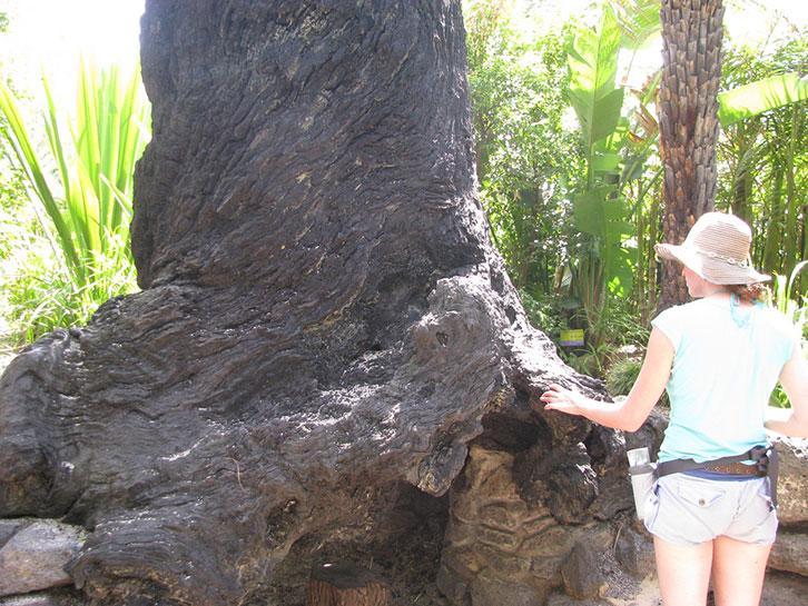 The Best Australian Gifts to Take Overseas