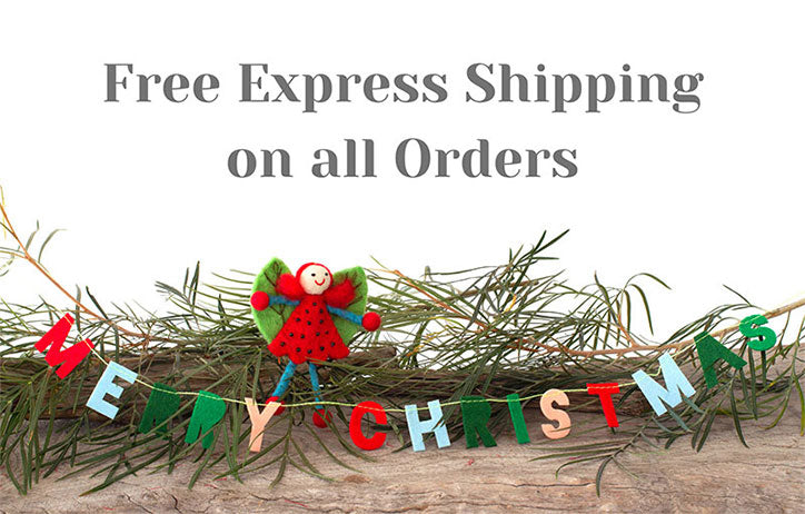 There’s still time - free express shipping on all orders