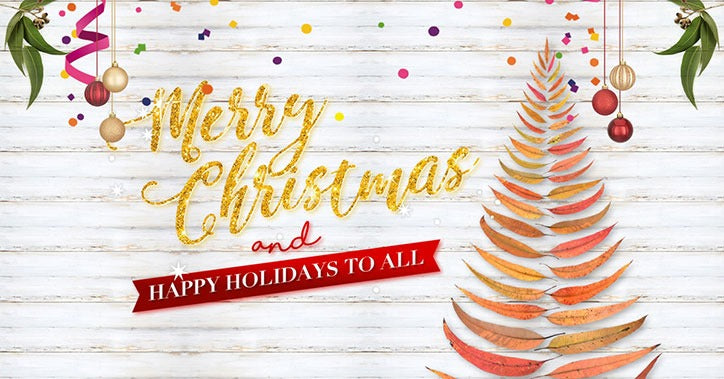 Free upgrade to Express shipping from now until Christmas!