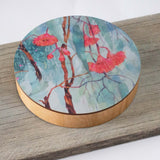 Marcus Box Flowering Gum