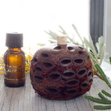 Banksia Scent Pot and Fragrant Oil