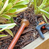 Blackbean Knob Handle Walking Stick