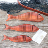 Swimming Redgum Fish